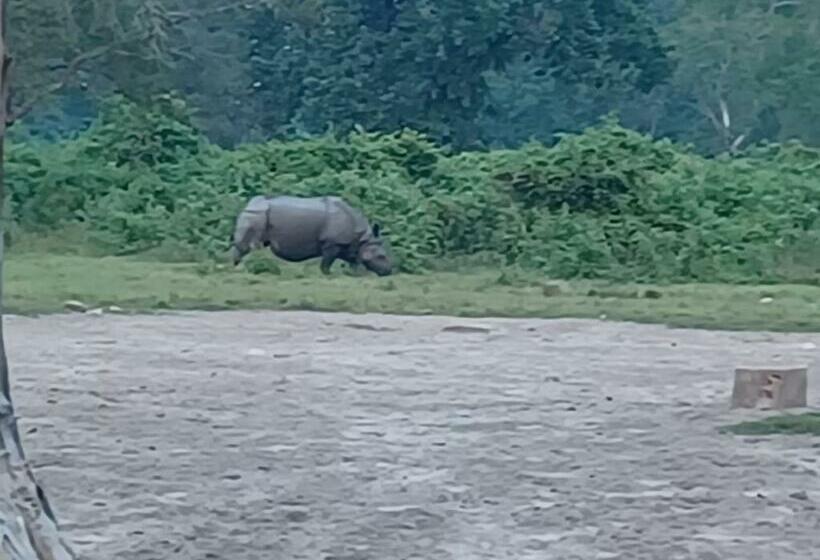 חדר משפחתי נוף לגינה, Dooars Velley Home Stay