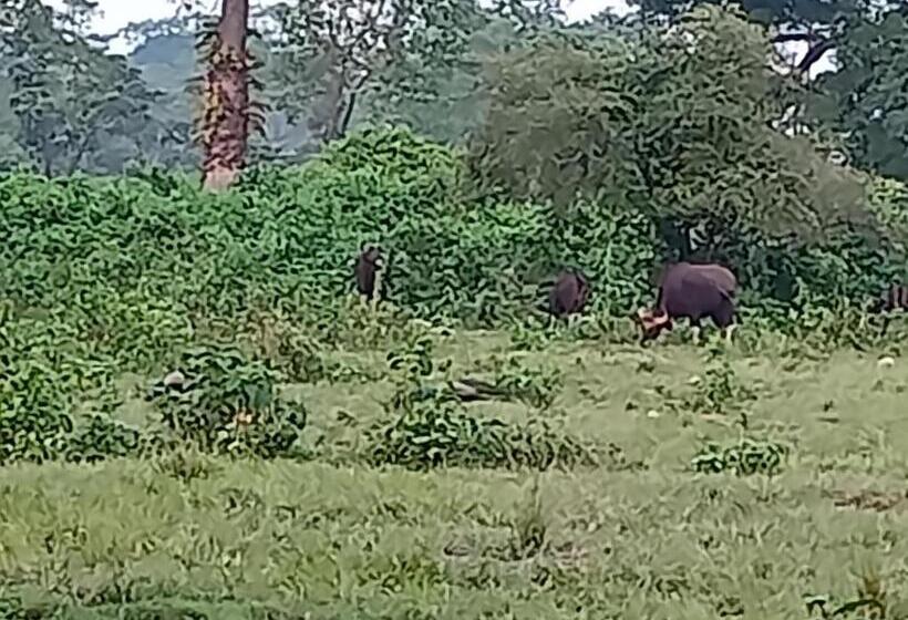 חדר דלוקס עם מרפסת, Dooars Velley Home Stay