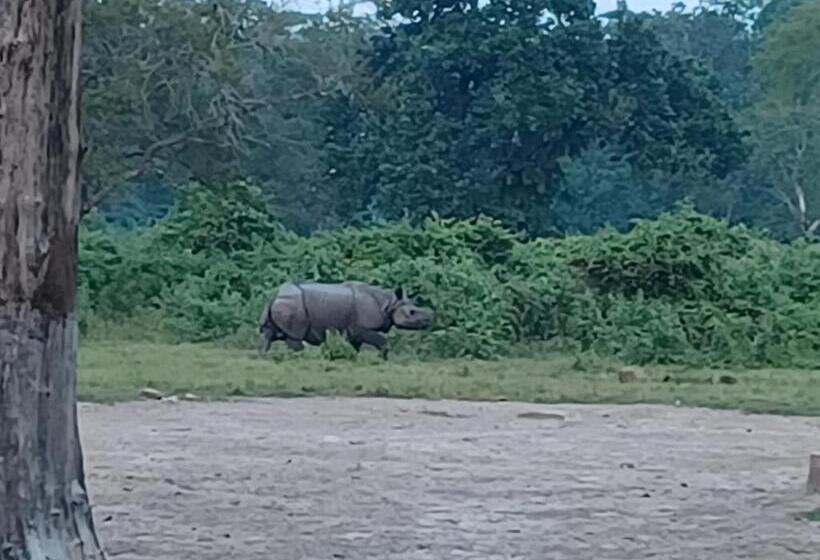 חדר משפחתי נוף לגינה, Dooars Velley Home Stay