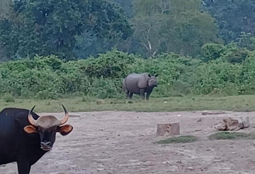 חדר משפחתי נוף לגינה, Dooars Velley Home Stay