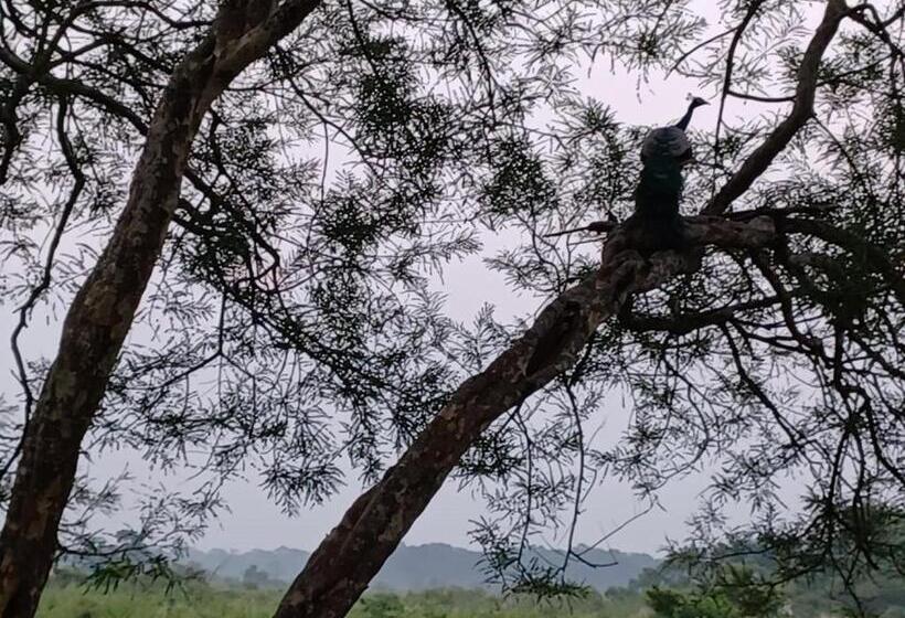 חדר משפחתי נוף לגינה, Dooars Velley Home Stay