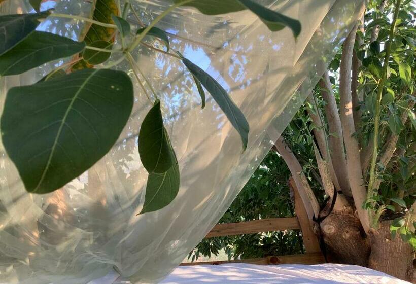 Standard Tent, Güzelbahçe Yemek Atölyesi