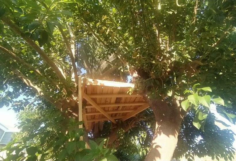 Standard Tent, Güzelbahçe Yemek Atölyesi