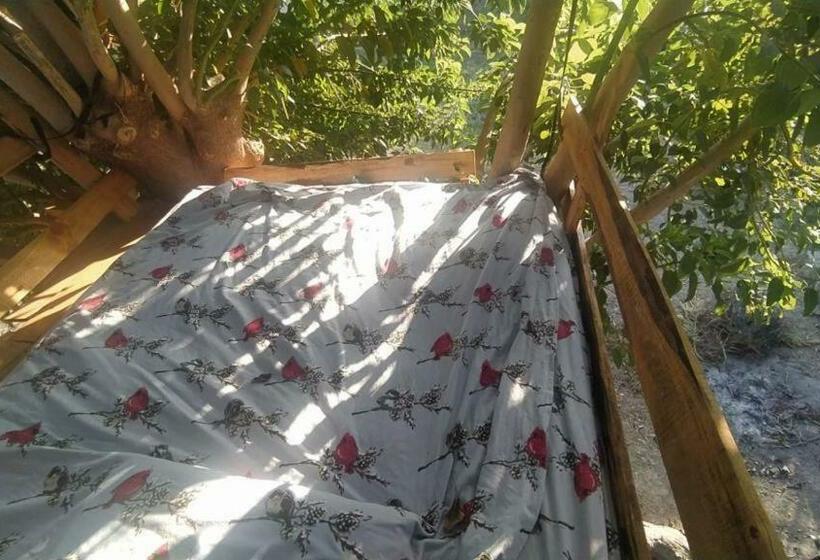 Standard Tent, Güzelbahçe Yemek Atölyesi