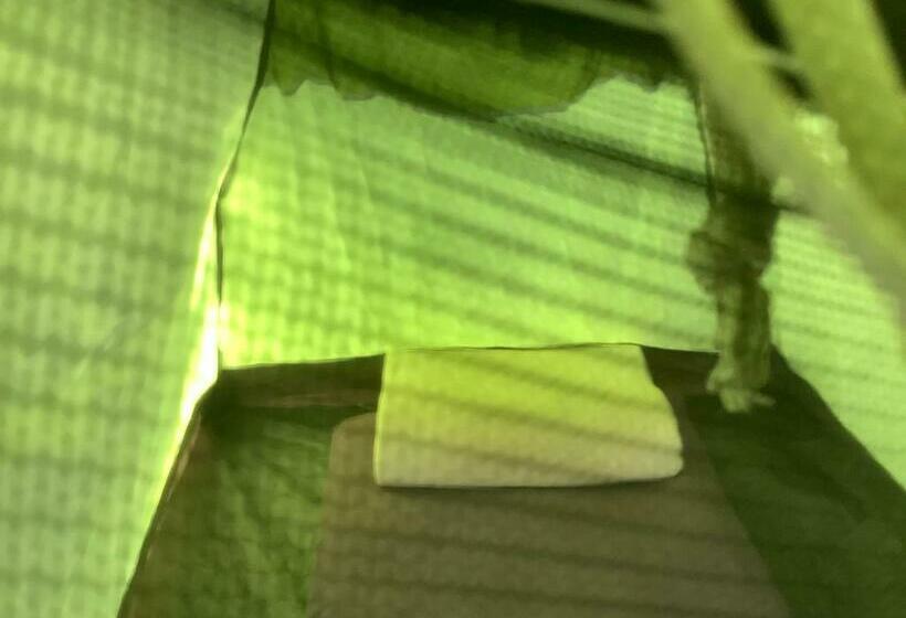 Standard Tent, Güzelbahçe Yemek Atölyesi