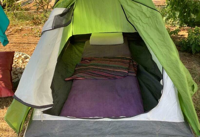 Standard Tent, Güzelbahçe Yemek Atölyesi