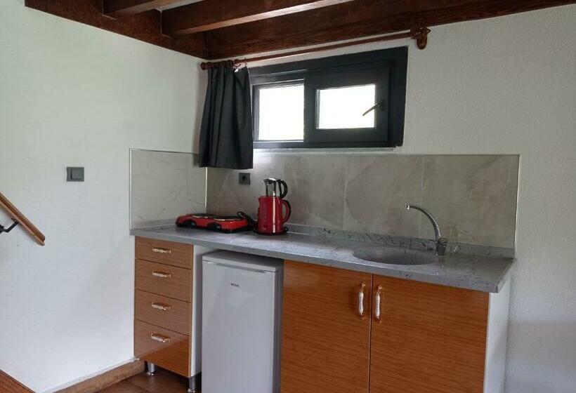 Номер Дюплекс, Ayas Apart