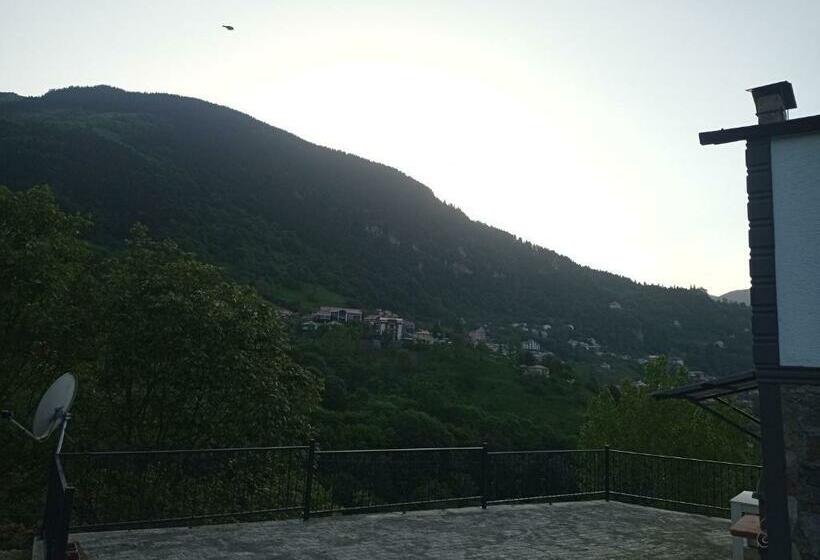 Номер Дюплекс, Ayas Apart