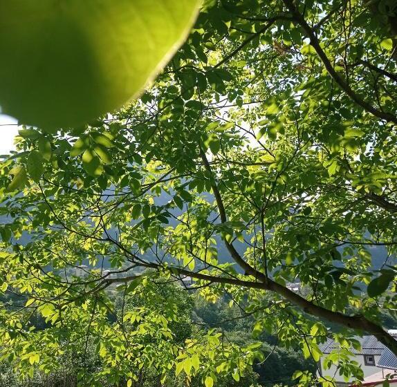 Номер Дюплекс, Ayas Apart