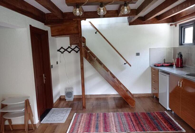 Номер Дюплекс, Ayas Apart