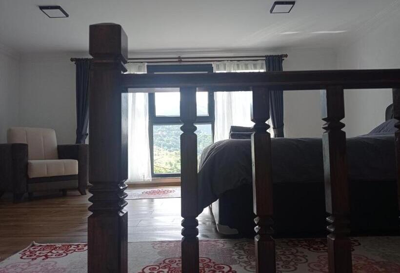 Номер Дюплекс, Ayas Apart