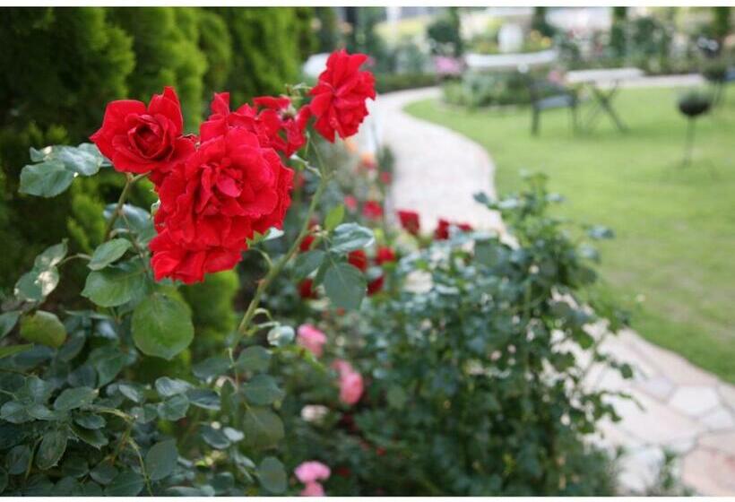 スタンダードスタジオ, Sunlife Garden   Vacation Stay 55394v