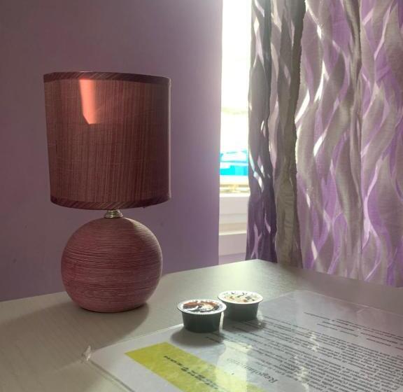 اتاق استاندارد با سرویس بهداشتی مشترک, Smart Accomodation