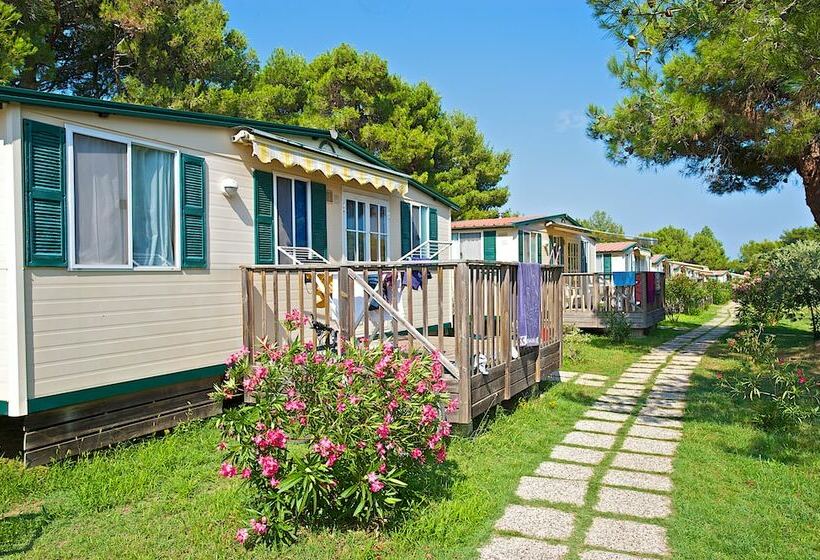 منزل غرفتين نوم, Arena Stupice Camping Homes