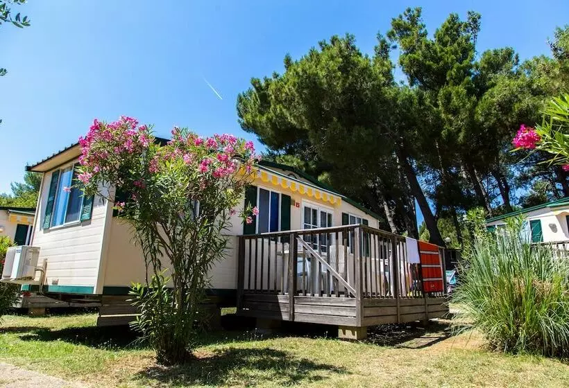 ２ベッドルームハウス, Arena Stupice Camping Homes