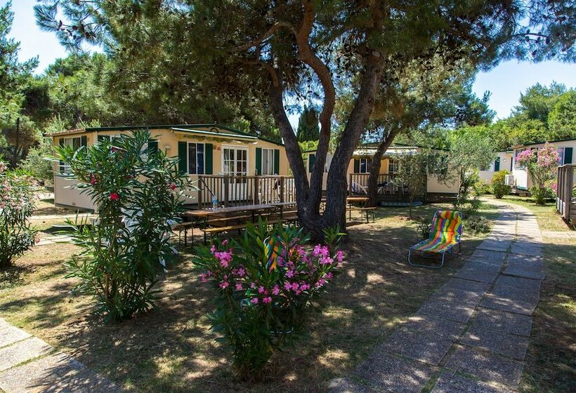 منزل غرفتين نوم, Arena Stupice Camping Homes