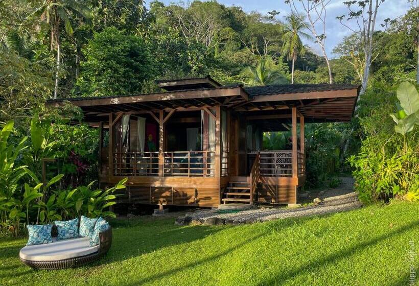 בקתה סטנדרטית, Playa Cativo Lodge