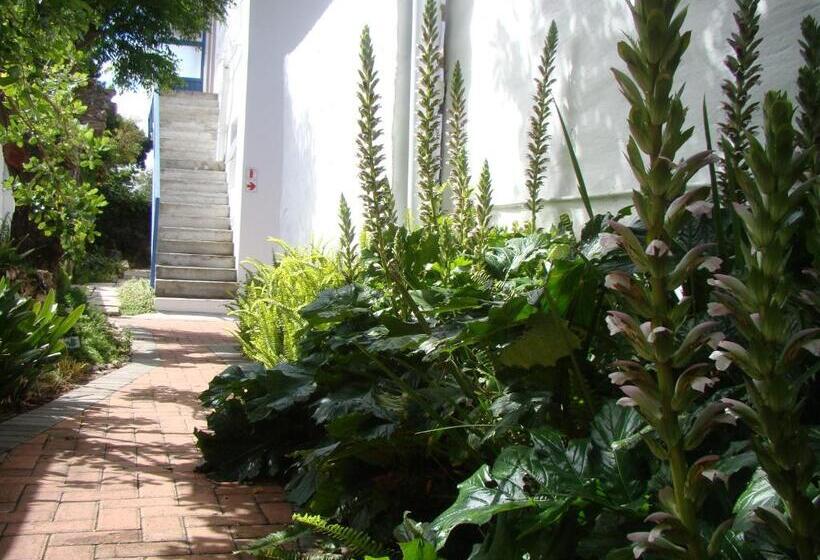 Студия Стандарт, Aqua Marine Guest House