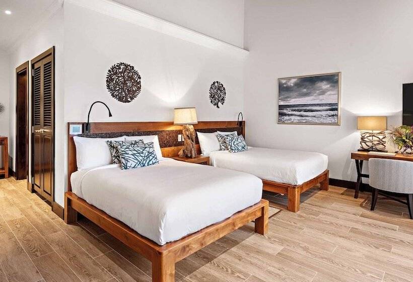 سوئیت ریاست جمهوری 2 خوابه, Zemi Beach House, Lxr Hotels & Resorts