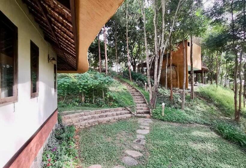 Standart Oda, สะเลเต ชาเล่ต์