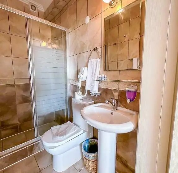 Standard-huone Kaupunkinäkymä, Abelia Otel