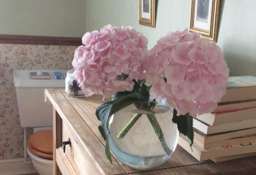 اتاق اکونومی, Rosebank Guest House