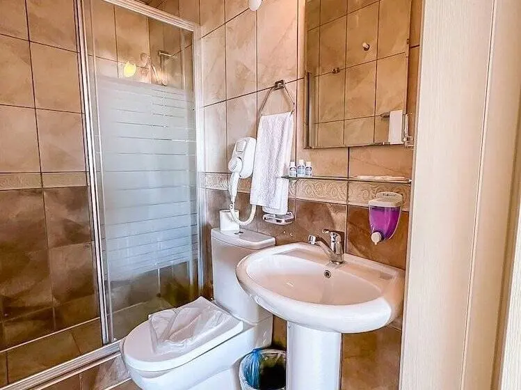 Standard-huone Kaupunkinäkymä, Abelia Otel