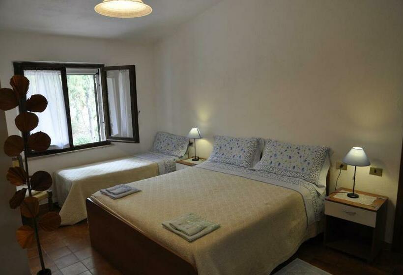 Номер Стандарт Трехместный, Bed & Breakfast Agriturismo San Macario