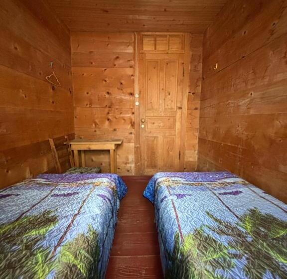 اتاق استاندارد, Guest House Bee