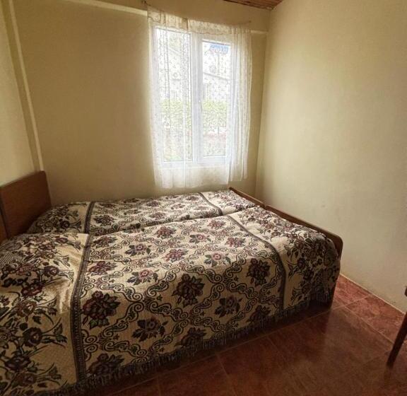 اتاق اکونومی, Guest House Bee