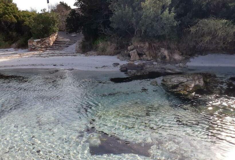 اتاق استاندارد, B&b Marina