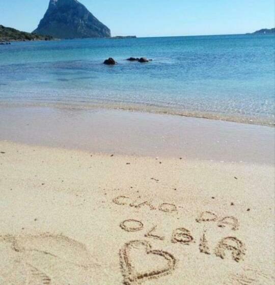 اتاق استاندارد, B&b Marina