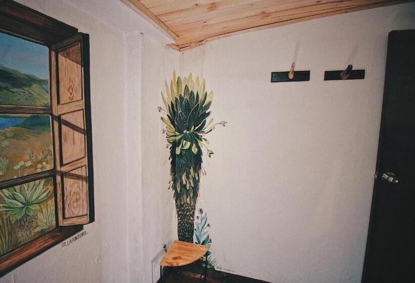 تختخواب در اتاق مشترک, Hostal Casa Del Frailejón   Café