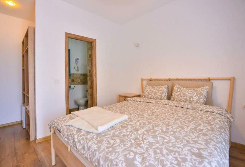 חדר סטנדרט עם מרפסת, Pensiunea Complex Castalia