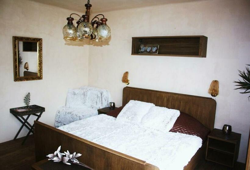 اتاق استاندارد با تراس, Penzion Svojše
