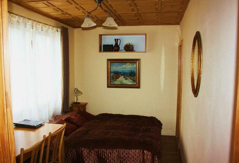 اتاق استاندارد, Penzion Svojše