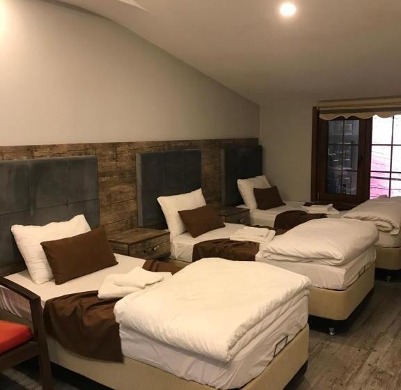 1 Bedroom Apartment Lake View, Uzungol Huzur