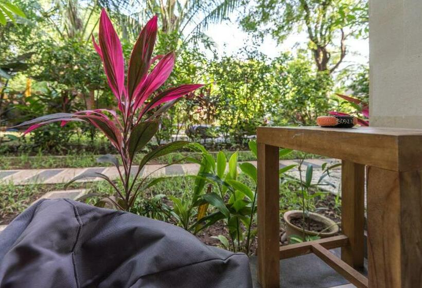 חדר סופריור, Arjuna Homestay