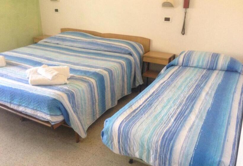 Habitació Estàndard, Flora