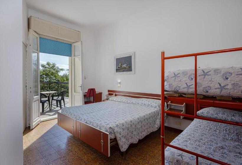 Habitació Quàdruple Estàndard, Flora