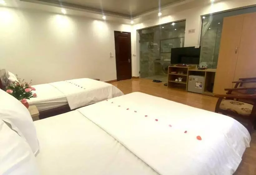 سوییت خانوادگی, Haap Transit