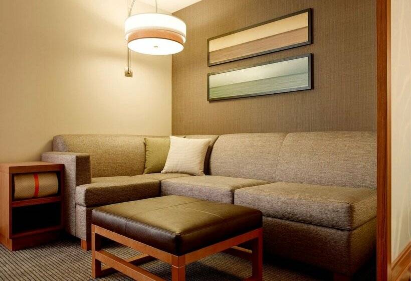 장애인을 위한 스탠다드 룸, Hyatt Place Arlington Courthouse