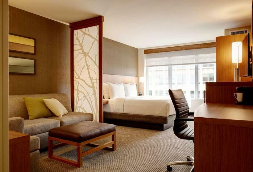 스탠다드 룸 킹사이즈 침대, Hyatt Place Arlington Courthouse