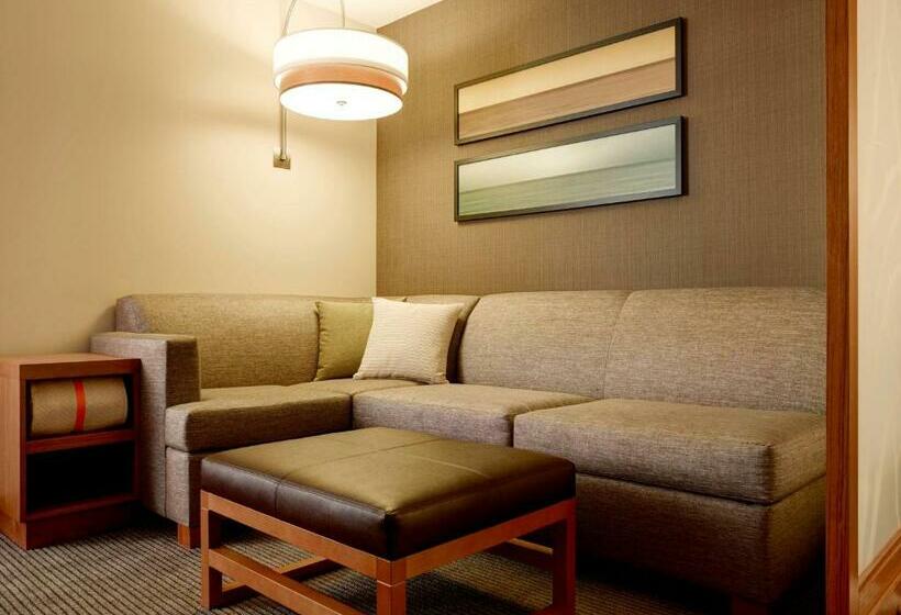 스탠다드 룸 킹사이즈 침대, Hyatt Place Arlington Courthouse