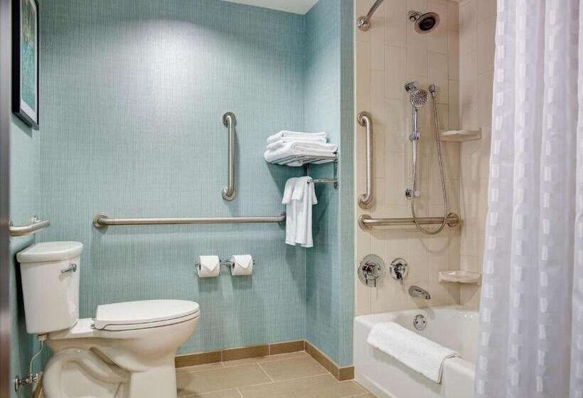 장애인을 위한 스탠다드 룸, Hyatt Place Arlington Courthouse