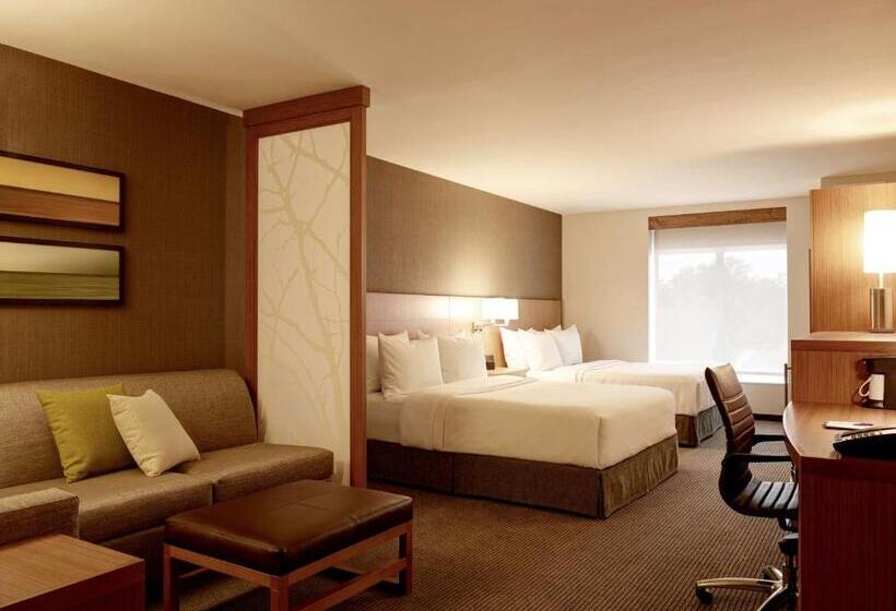 Номер Стандарт Адаптированный для Инвалидов, Hyatt Place Arlington Courthouse