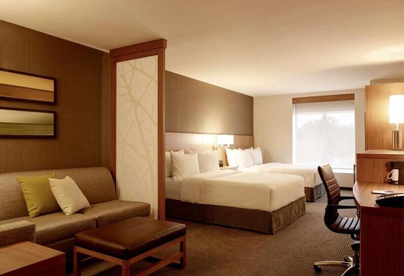 장애인을 위한 스탠다드 룸, Hyatt Place Arlington Courthouse