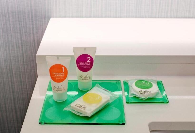 장애인을 위한 킹사이즈 침대 스탠다드 룸, Hyatt Place Arlington Courthouse