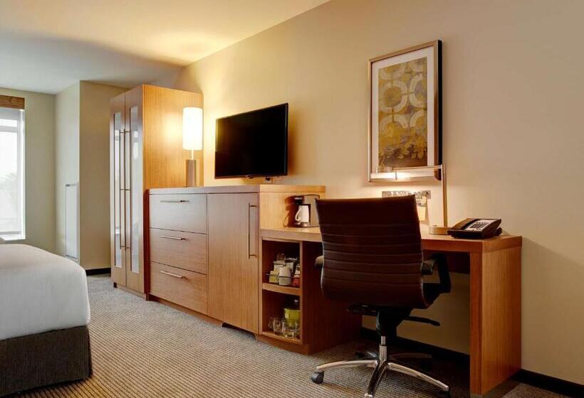 장애인을 위한 킹사이즈 침대 스탠다드 룸, Hyatt Place Arlington Courthouse