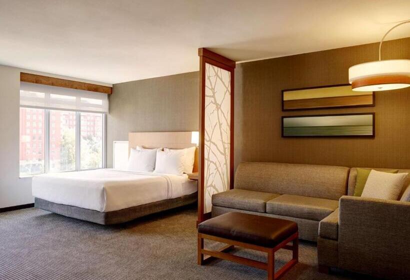 장애인을 위한 킹사이즈 침대 스탠다드 룸, Hyatt Place Arlington Courthouse